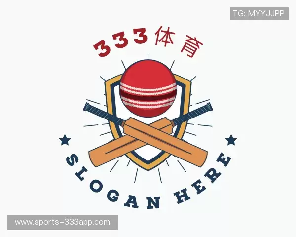 关于333体育